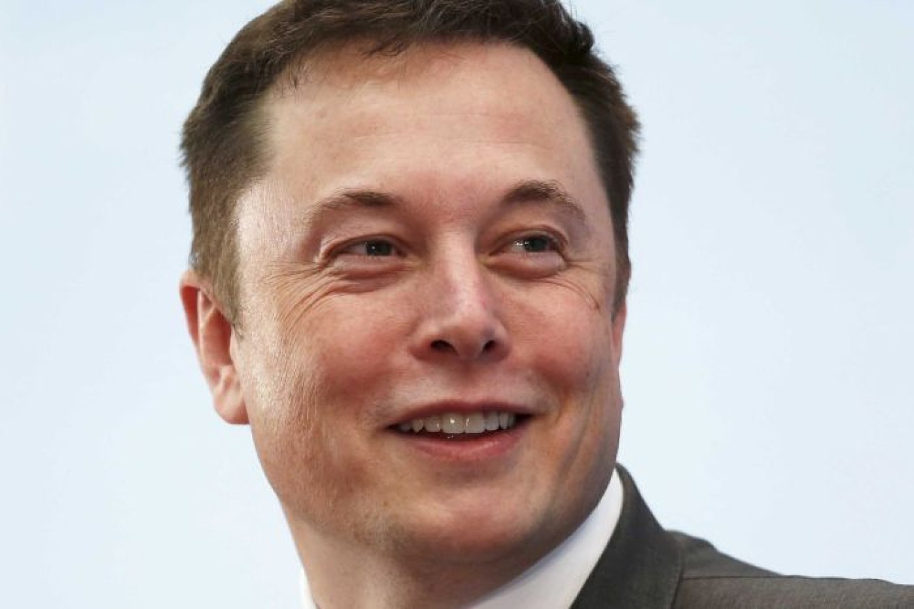 Elon Musk responded to a tweet from Greens MP Jeremy Buckingham.