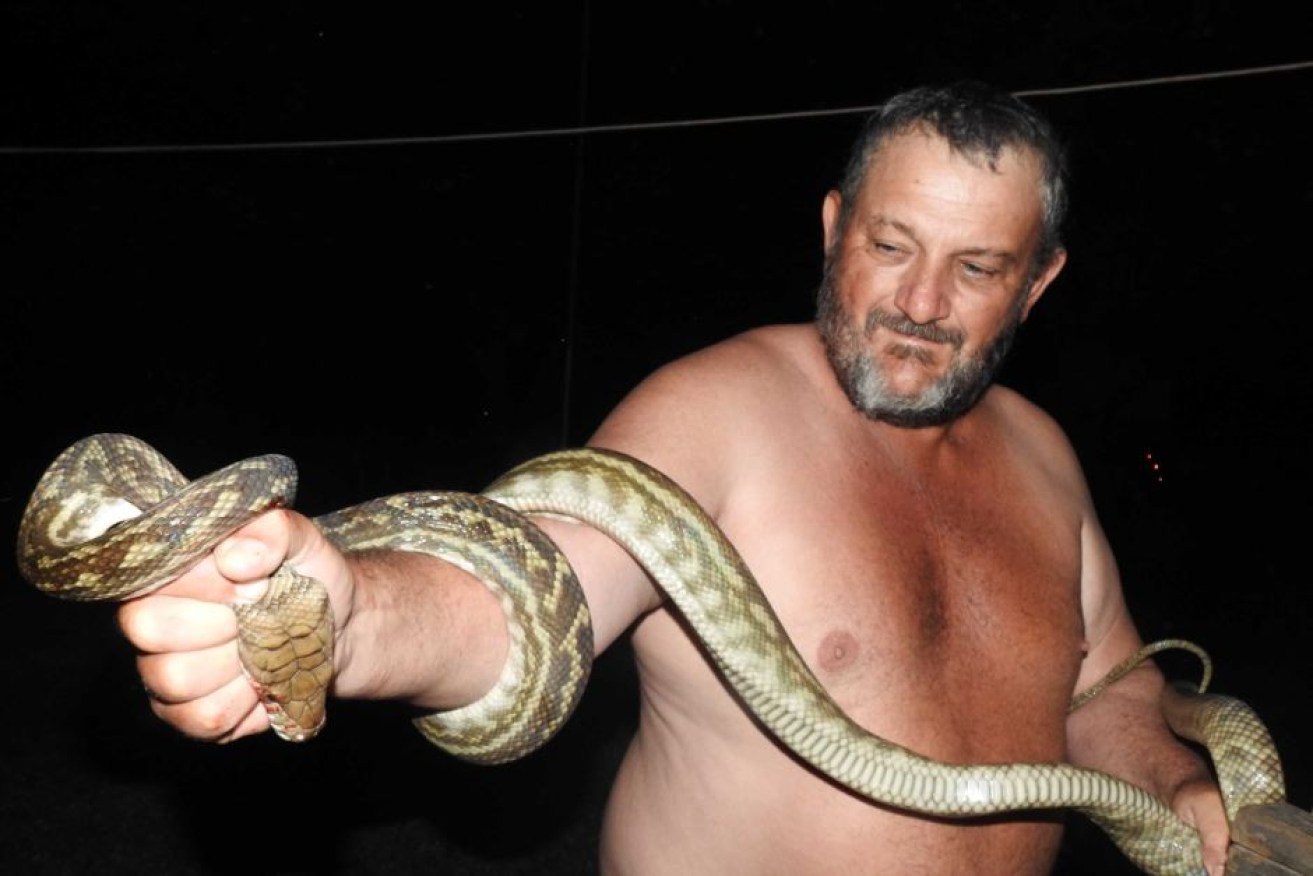 Neville Jackson was able to remove the snake from his son's arm after 10 minutes.

