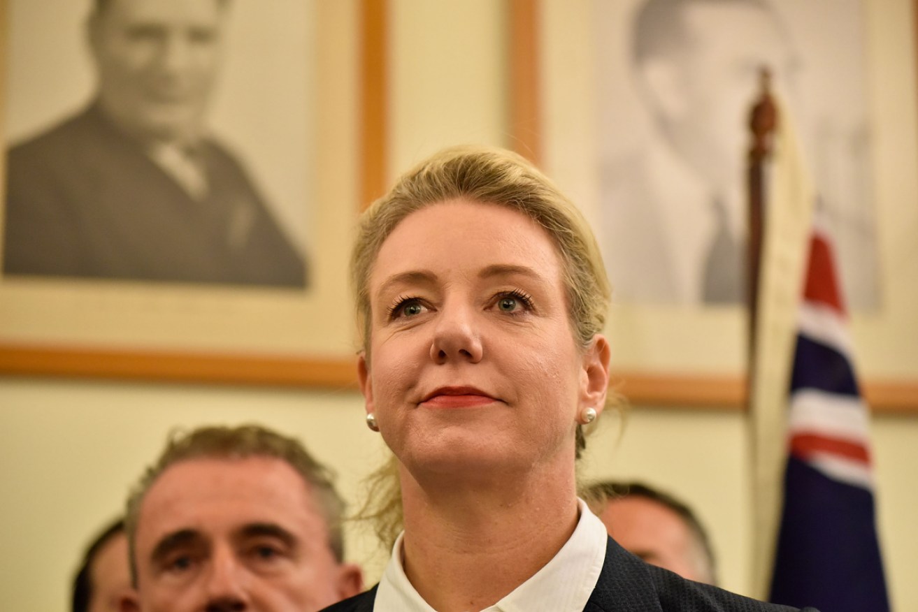 You don't need to be Sherlock Holmes to know Bridget McKenzie did not act off her own bat.