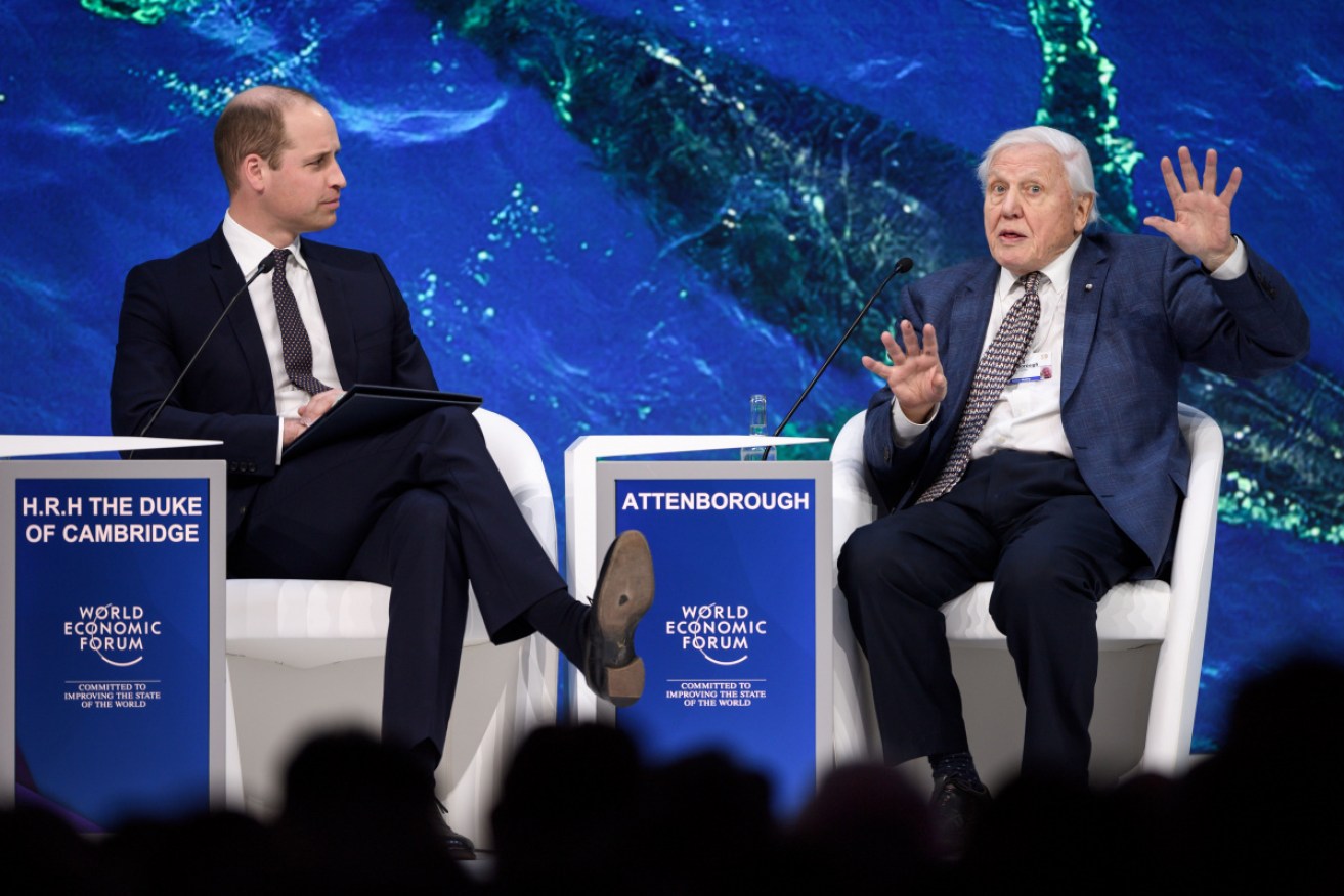 Prince William and Sir David Attenborough share the stage at the Davos forum.