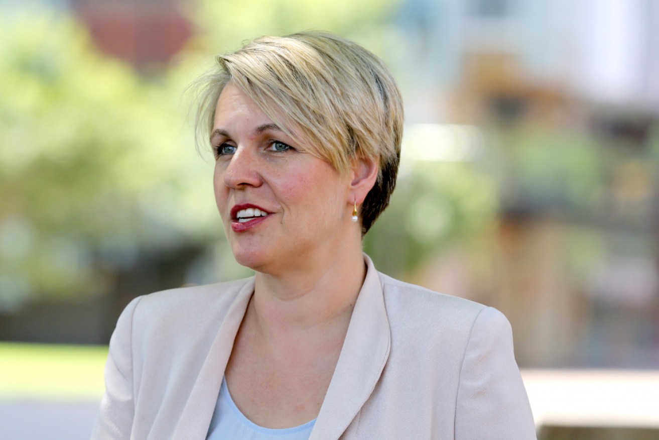 Federal Labor frontbencher Tanya Plibersek has tested positive for COVID.