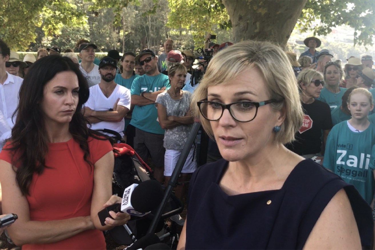 Zali Steggall is standing as an independent against former prime minister Tony Abbott in the seat of Warringah,