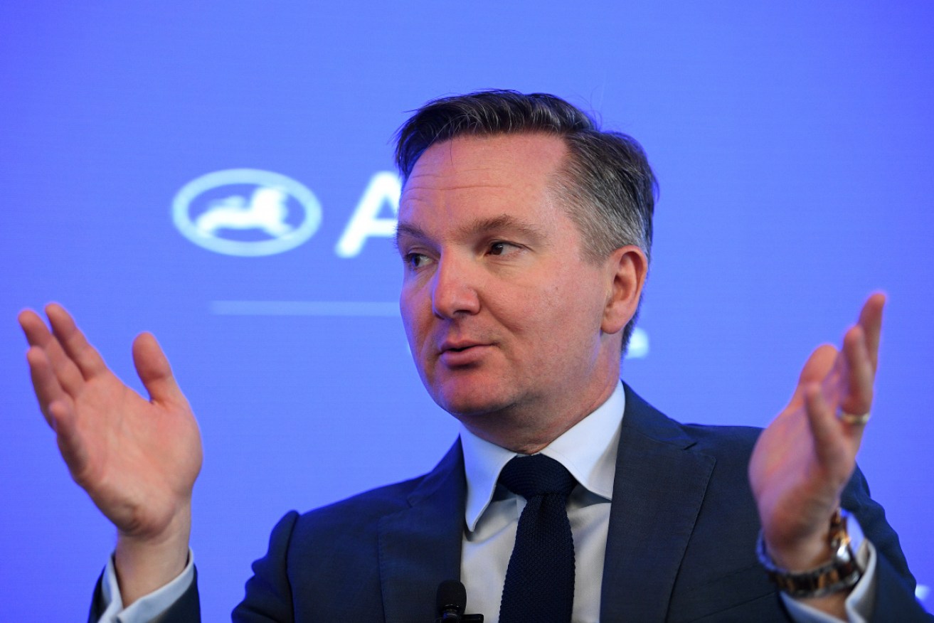 Chris Bowen says it's "lazy and reckless" for the government's job promise not to be supported.