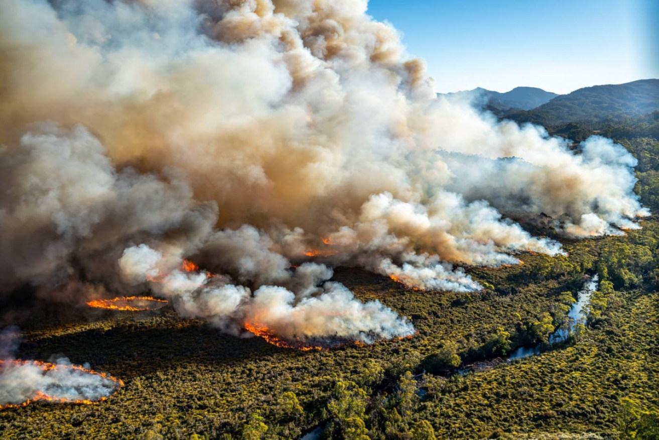Some 55,0000 hectares of wilderness and bushland across the state was ravaged by scores of fires in Tasmania in January. 