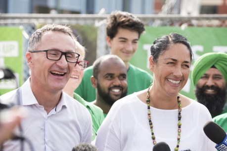 &#8216;Completely disillusioned&#8217;: Candidate quits Greens as party allegedly bleeds members