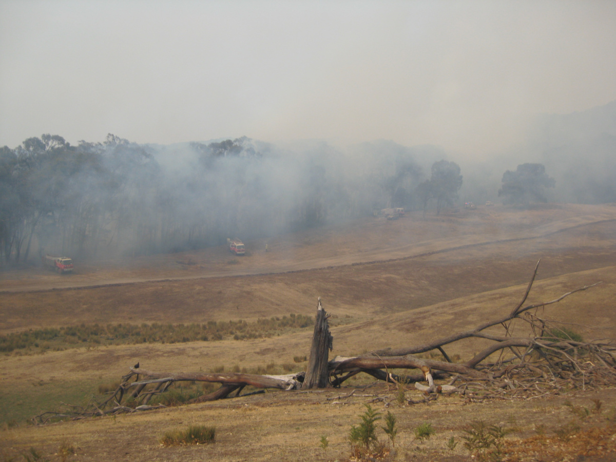 What It Felt Like To Be Inside Australia's Most Deadly Natural Disaster