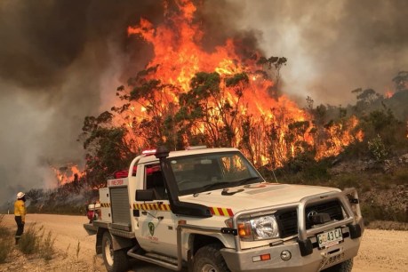 Seven homes lost in Tasmania bushfires