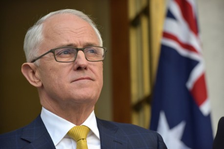 Former prime minister Malcolm Turnbull has a new job