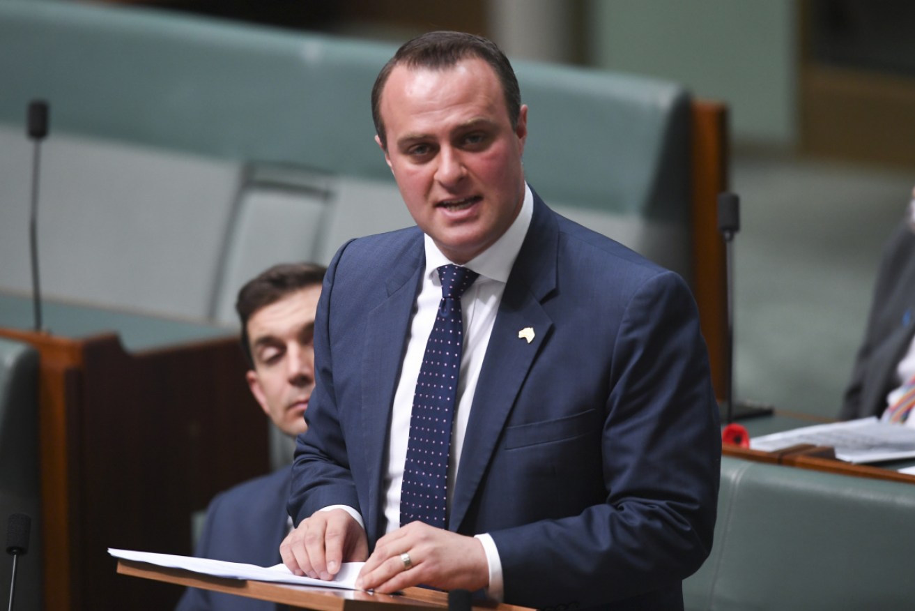 Liberal MP Tim Wilson is under fire for his role in leading the fight against Labor's planned changes to franking credits.