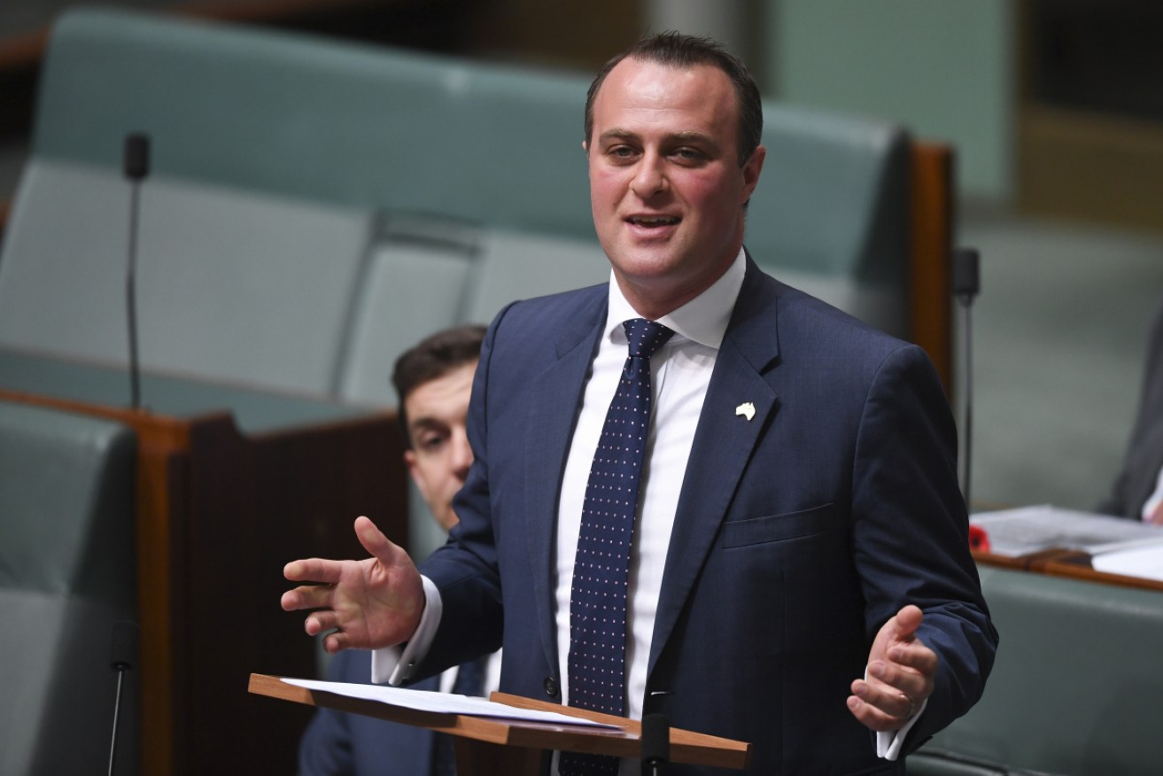 Embattled MP Tim Wilson was met with heckles from a protestor at a committee inquiry in Sydney on Friday. Photo: AAP