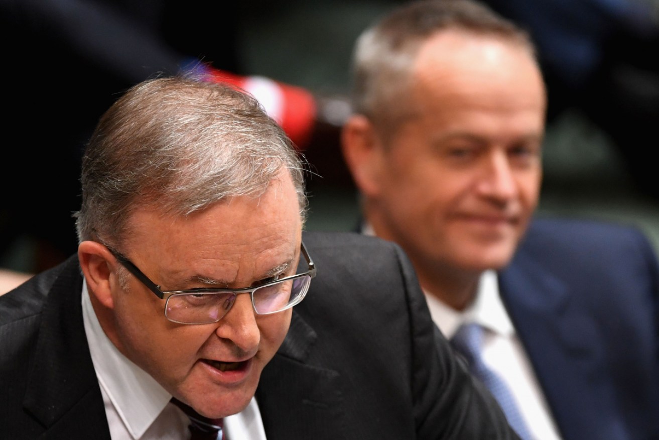 Anthony Albanese was one of three MPs who backed Bill Shorten's medical transfer bill.
