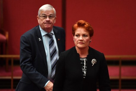 Bloody Parliament House brawl as Pauline Hanson denies sexual harassment claim
