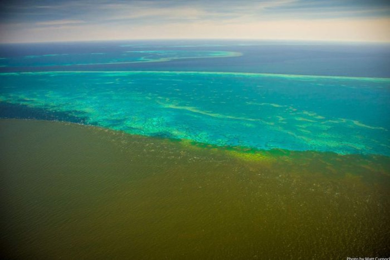 Plume from Burdekin River inundates Old Reef, Stanley and Darley areas in the Great Barrier Reef