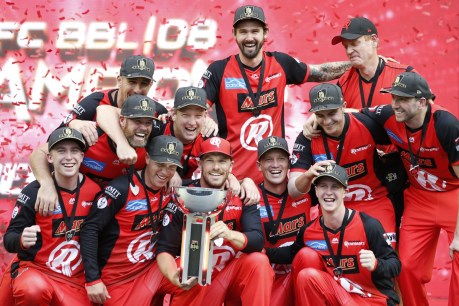 Painting the town red, Renegades salute in Big Bash League final