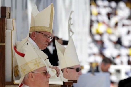 Pope Francis&#8217; comments linking church critics to the devil criticised by abuse victims