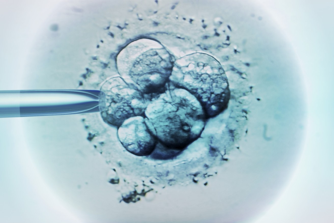 Infertile men are the catalyst for one in three costly and stressful rounds of IVF in Australia and New Zealand, with no known cause in the majority of cases.
