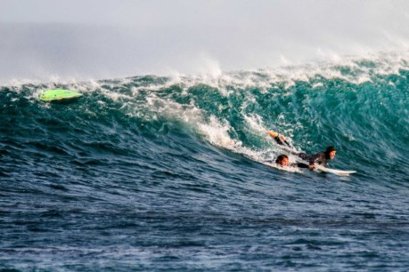 Surfing: Margaret River Pro saved until 2021 despite shark scares