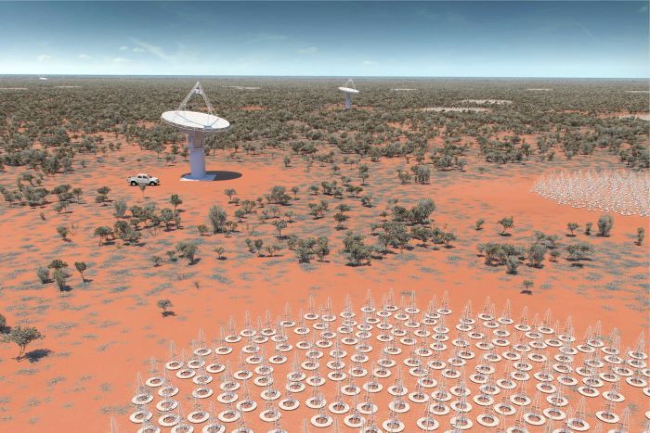 What the Murchison Square Kilometre Array will look like when built.  