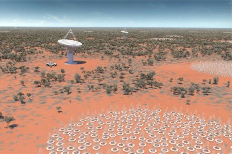 World’s largest radio telescope set for WA