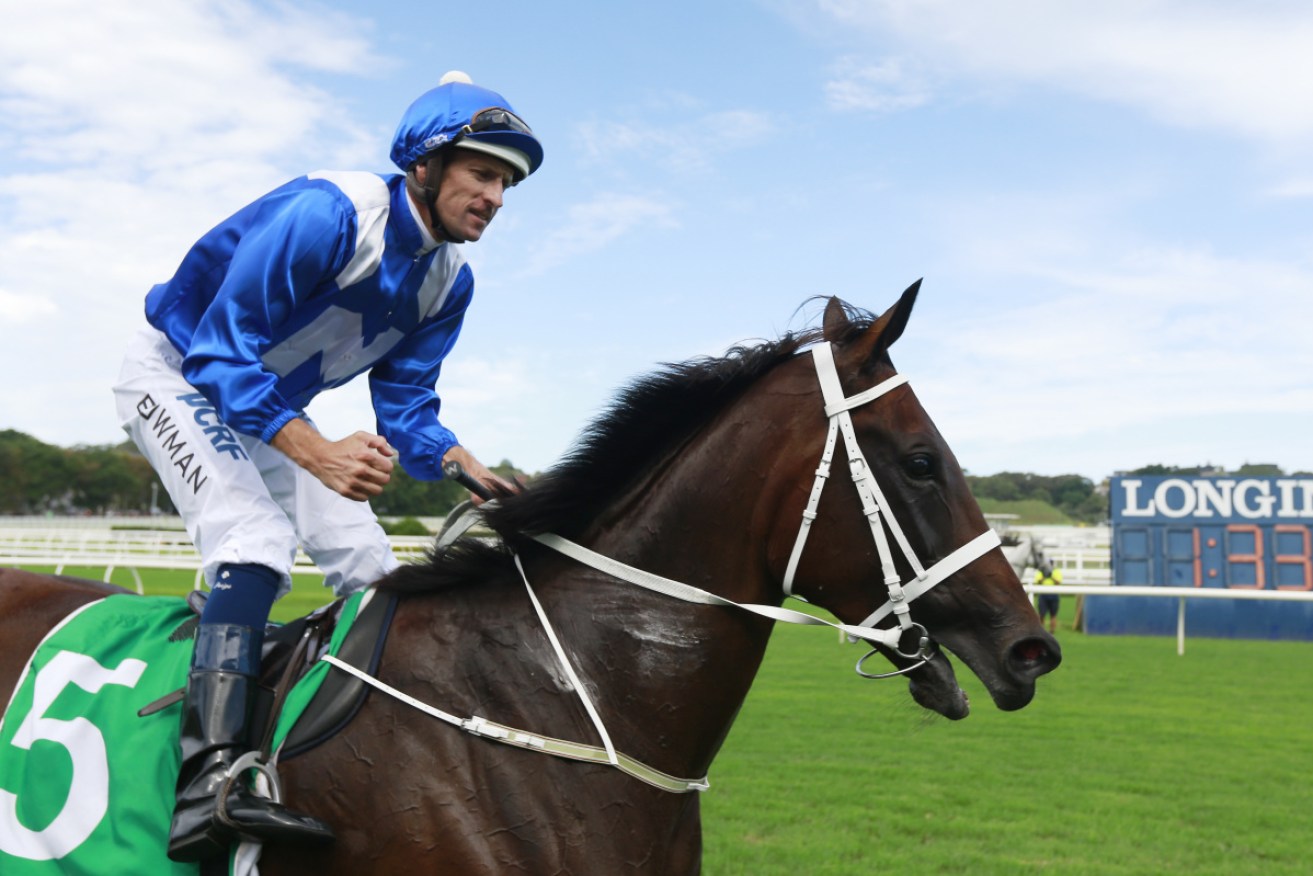Winx is now officially the best thoroughbred in racing.