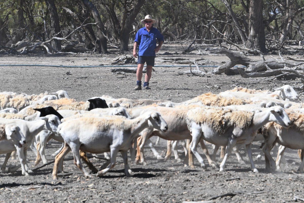 drought stimulus