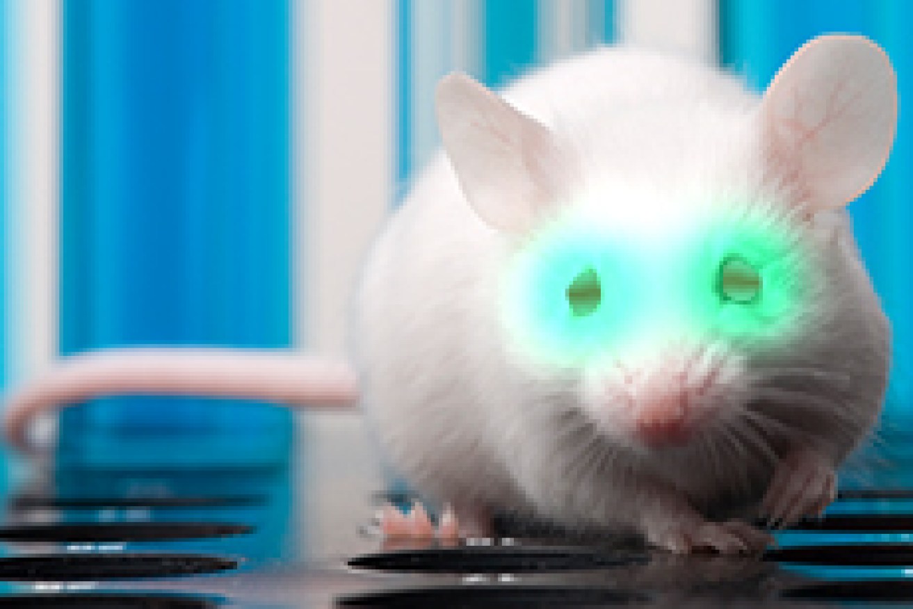 A new study which lets mice see in the dark could work in humans too, researchers say. 