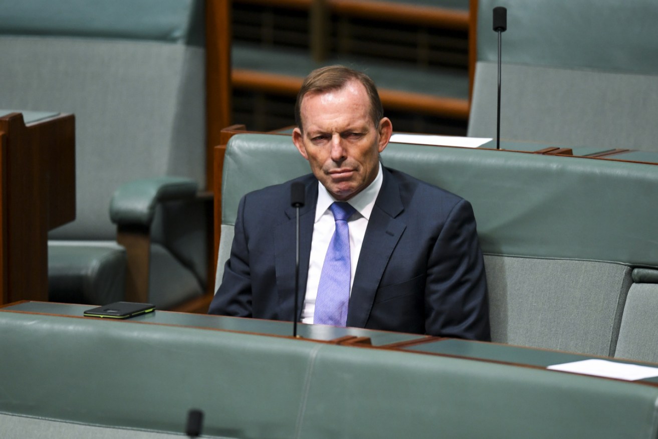 Tony Abbott says his career is his "calling" and he intends to remain in Parliament.  