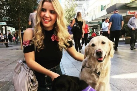 Legally blind woman denied Uber ride because of her guide dog