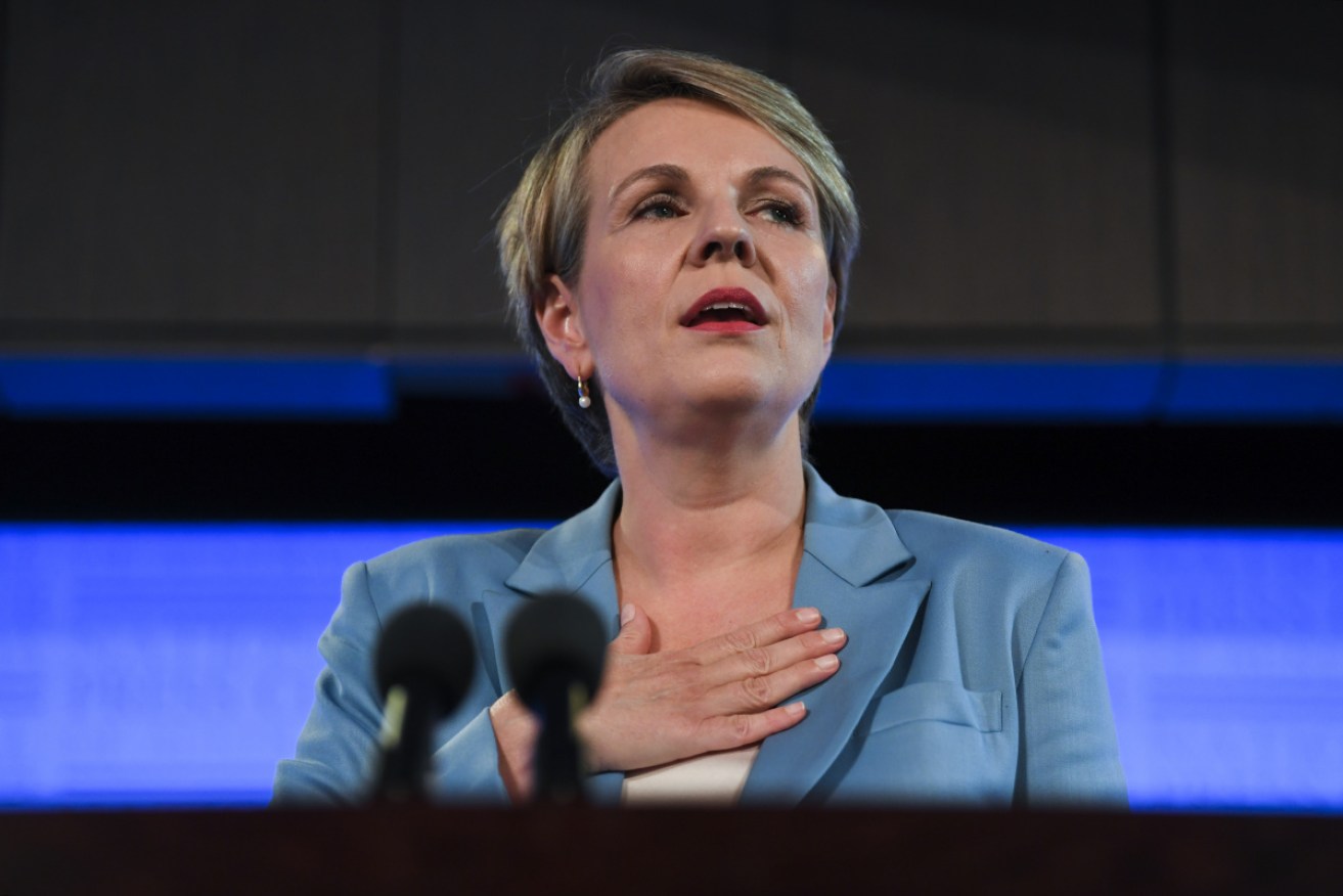 Tanya Plibersek has conceded a minority government remains a threat.