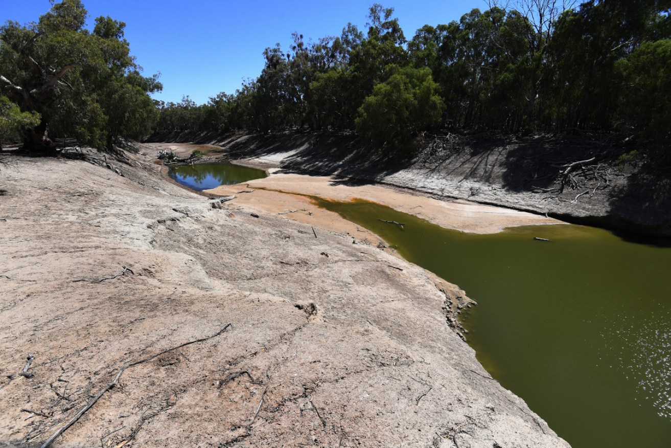 A new report says auditing of Murray-Darling water-saving measures is massively flawed.