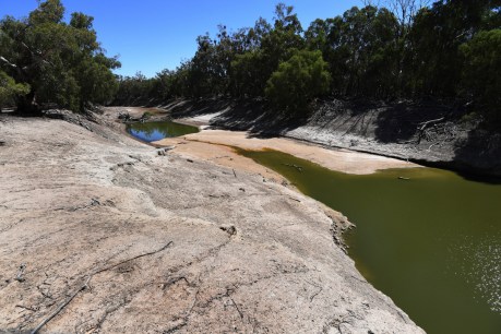 Report says billions of litres missing from Murray-Darling basin