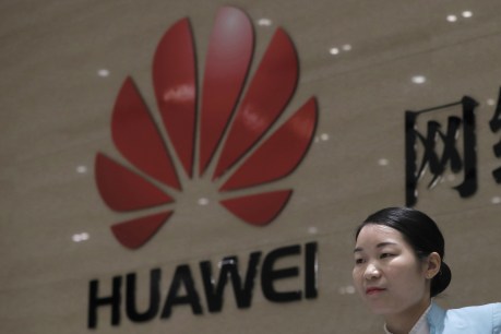 Huawei sues US government, wants ban lifted