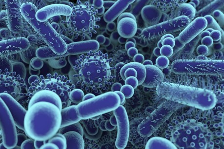 Drug-resistant bacteria strains are turning simple infections into killers