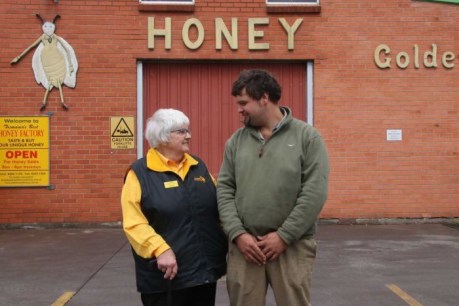 Tasmanian honey industry in crisis as bees starve to death