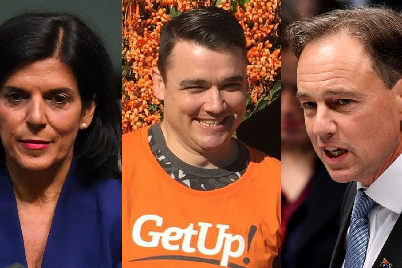 Independent Julia Banks will receive a boost from GetUp's targeting of Greg Hunt. 