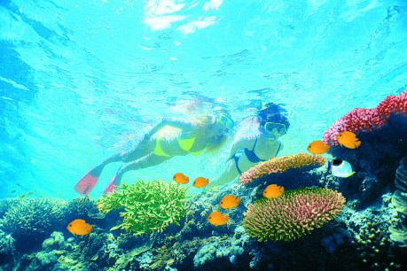 Splash out at the Great Barrier Reef on a budget