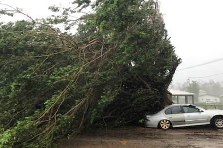 &#8216;Ferocious&#8217; cyclone Trevor disrupts power for days