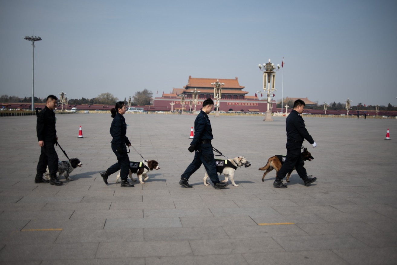 Chinese police dogs in training.