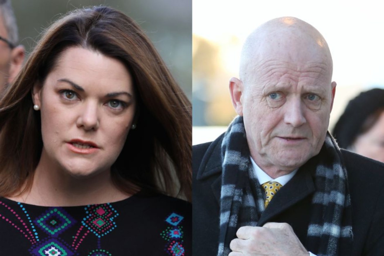 Greens Senator Sarah Hanson-Young and former Liberal Democrat Senator David Leyonhjelm.