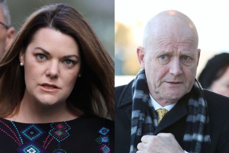 Leyonhjelm loses appeal on Hanson-Young payout