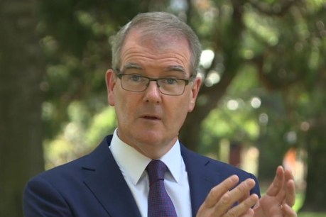 NSW ex-Labor leader Michael Daley throws his hat in ring for another shot as opposition leader
