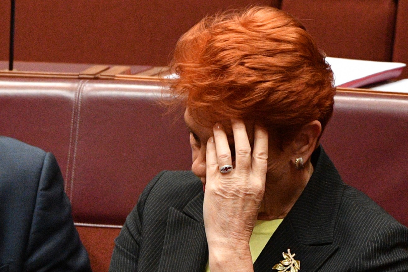 One Nation leader Pauline Hanson is said to be staying out the public eye after a tick bite to her face.