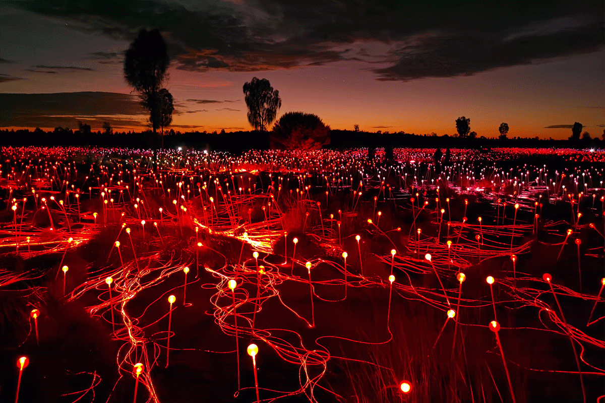 Uluru's Field of Lights photographed at sunrise using the new Huawei phone.