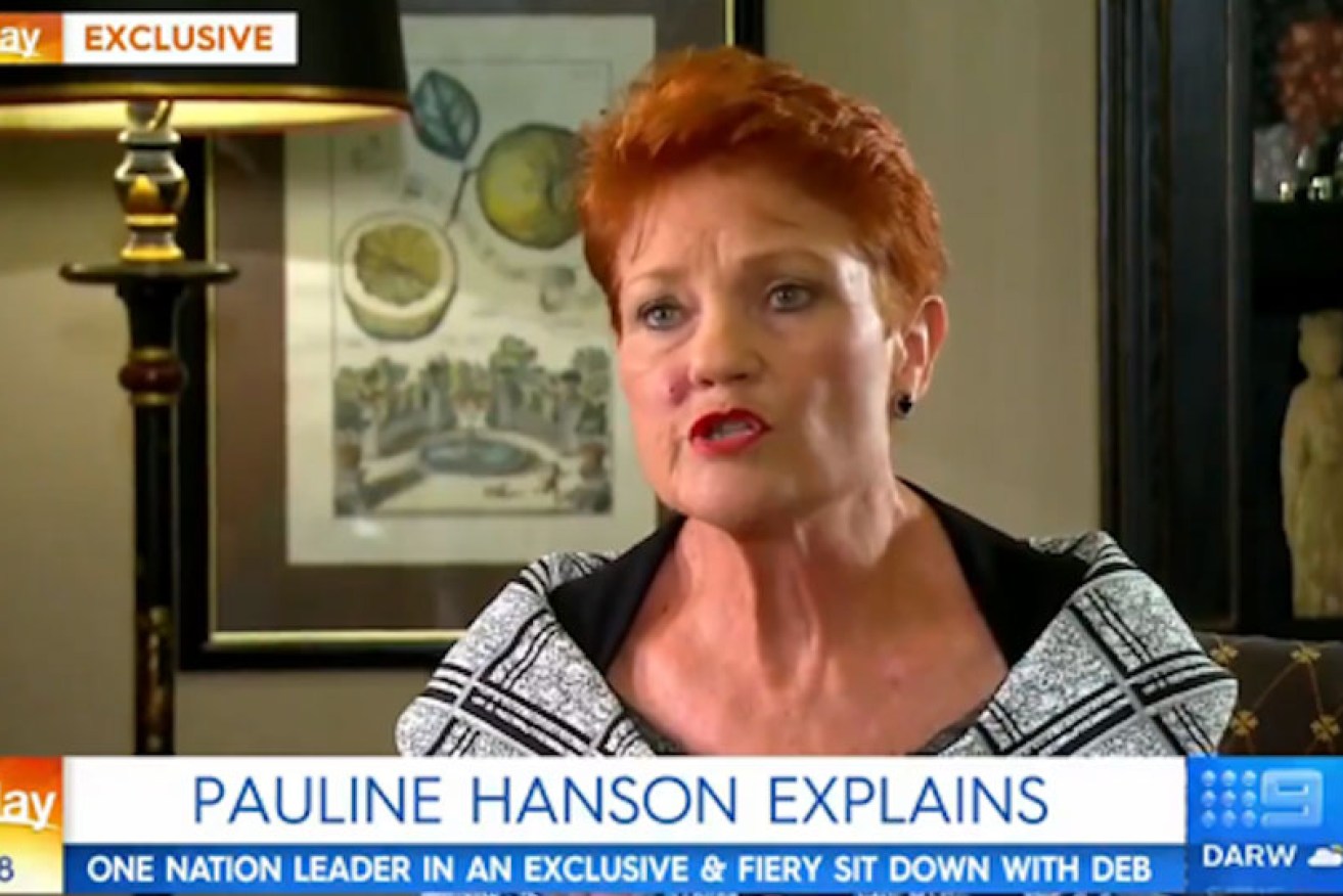 "This was not my doing," Pauline Hanson claimed on a fiery <i>Today</i> show appearance on Friday.