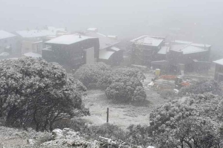 Snow is falling as communities confront the aftermath of tropical cyclones