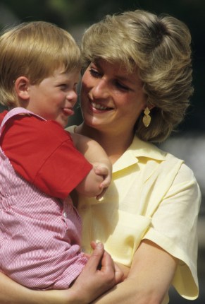 Harry Diana 1987