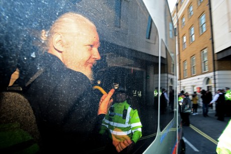 Assange accused of setting up &#8216;spy centre&#8217;