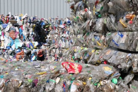 Victoria&#8217;s recycling crisis slammed as &#8216;environmental tragedy&#8217;