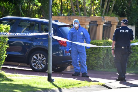 Brisbane doctor shot dead at home