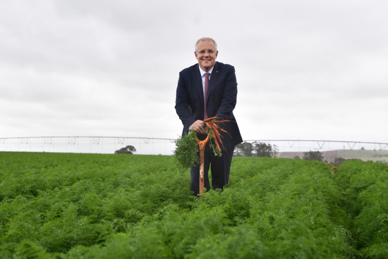 A carrot for voters? The PM says yes, but Treasury says unlikely.